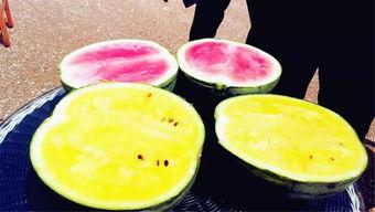 国外吃瓜爆料叫什么,吃瓜爆料背后的真相