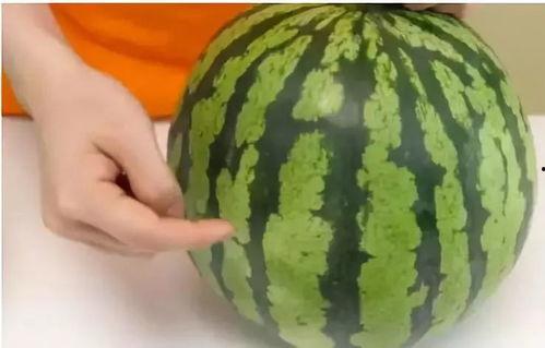 四蛋吃瓜爆料,揭秘娱乐圈幕后真相